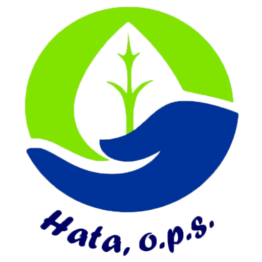 Výroční zpráva 2022