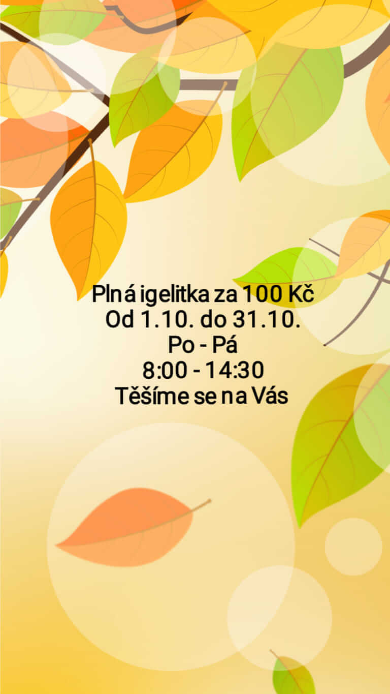 Podzimní akce Sociálního bazaru