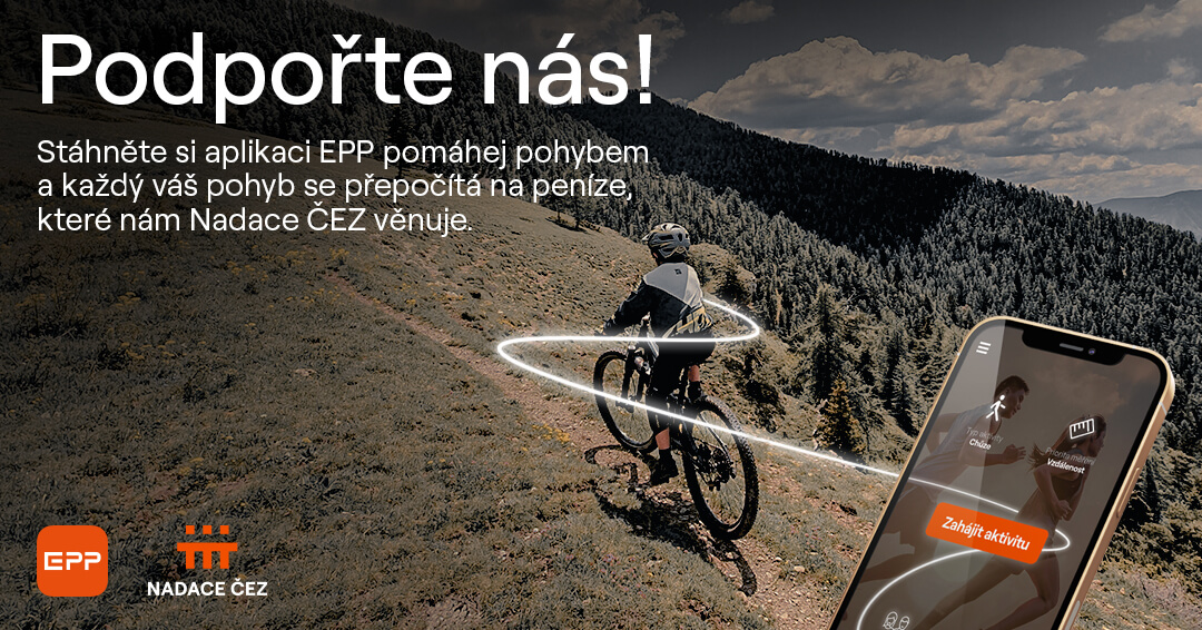 Nákup vyšívacího stroje pro Pradlenku Barborku v aplikaci EPP